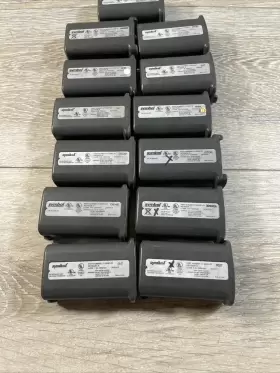 21-61261-01 CAMERON SINO Symbol Battery Ect #2